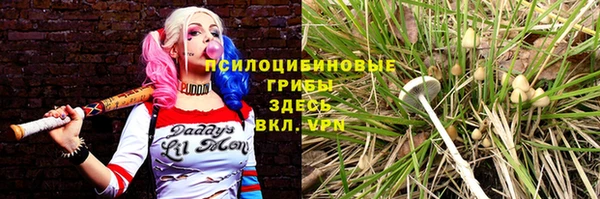 ешки Алексеевка