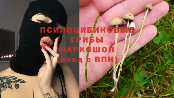 ешки Алексеевка