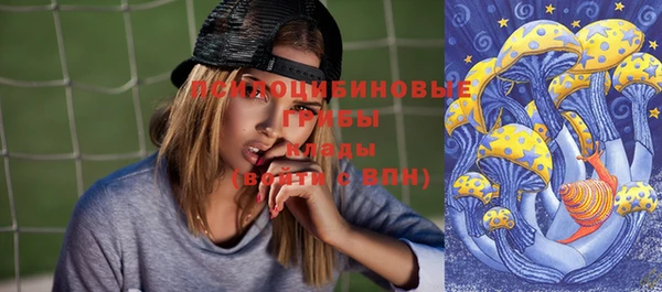 ешки Алексеевка